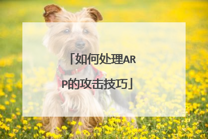 如何处理ARP的攻击技巧