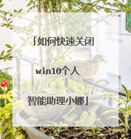 如何快速关闭win10个人智能助理小娜
