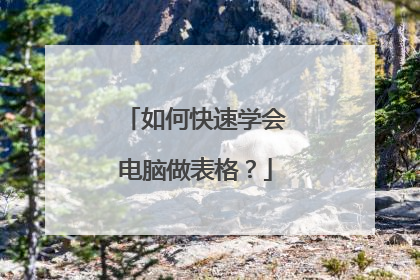 如何快速学会电脑做表格?