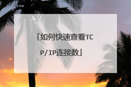 如何快速查看TCP/IP连接数