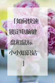 如何快速锁定电脑键盘和鼠标 小小知识站