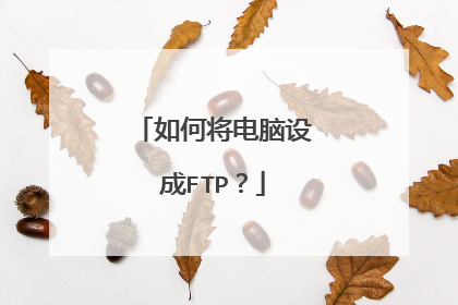 如何将电脑设成FTP？