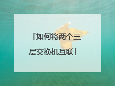 如何将两个三层交换机互联