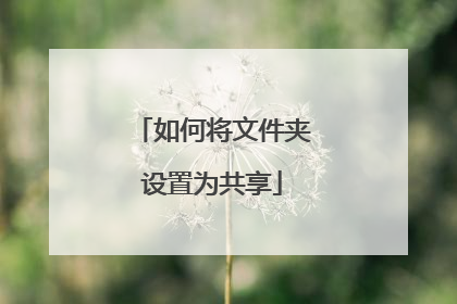 如何将文件夹设置为共享
