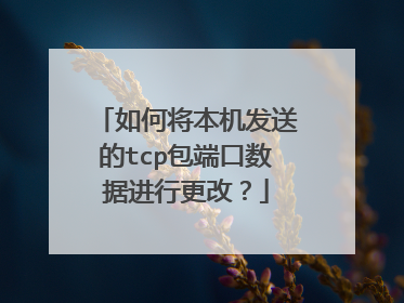 如何将本机发送的tcp包端口数据进行更改?