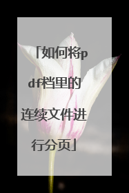 如何将pdf档里的连续文件进行分页