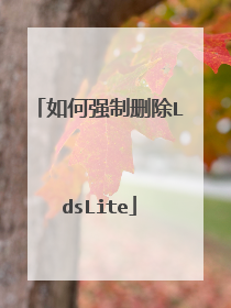 如何强制删除LdsLite