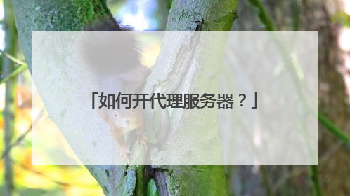 如何开代理服务器？