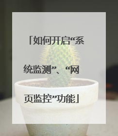 如何开启“系统监测”、“网页监控”功能