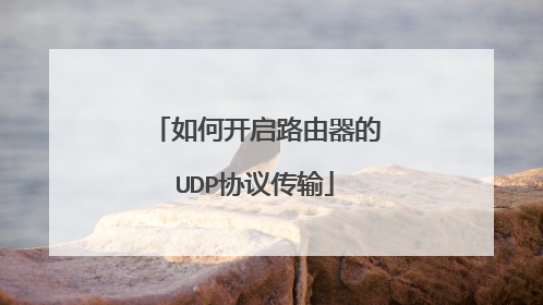 如何开启路由器的UDP协议传输