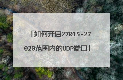 如何开启27015-27020范围内的UDP端口