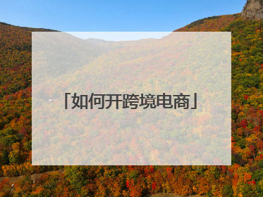 如何开跨境电商