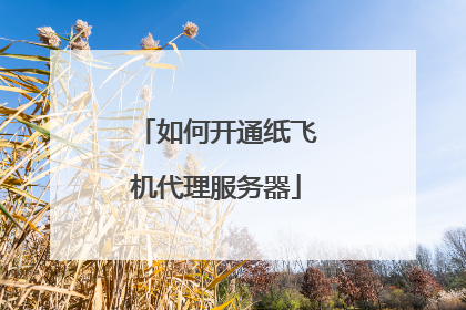 如何开通纸飞机代理服务器