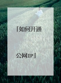 如何开通公网IP