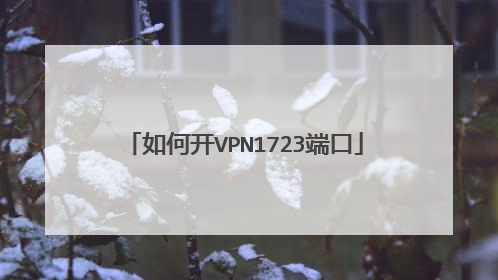 如何开VPN1723端口