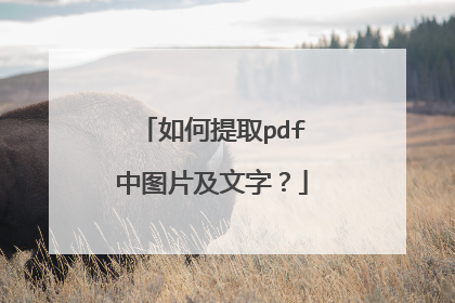 如何提取pdf中图片及文字？
