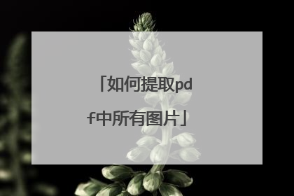 如何提取pdf中所有图片