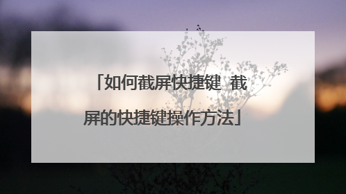 如何截屏快捷键 截屏的快捷键操作方法