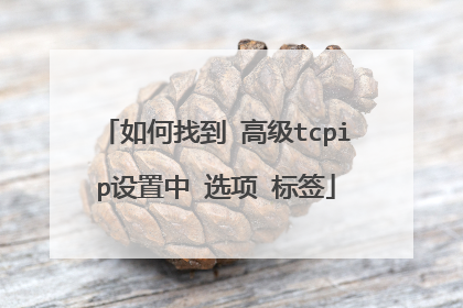 如何找到 高级tcpip设置中 选项 标签