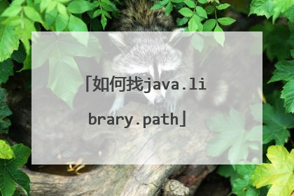 如何找java.library.path