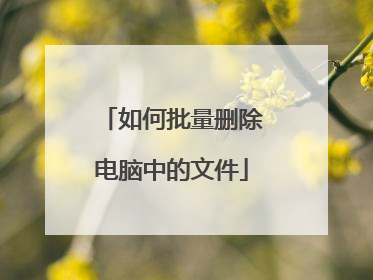 如何批量删除电脑中的文件