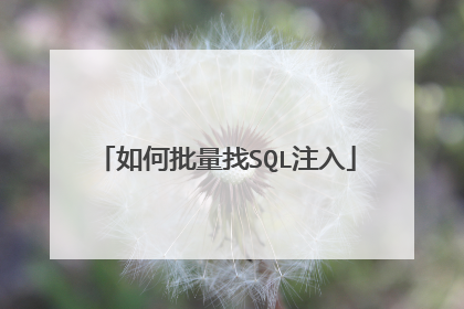 如何批量找SQL注入