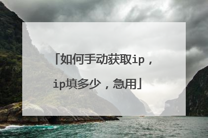 如何手动获取ip,ip填多少,急用