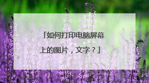 如何打印电脑屏幕上的图片,文字?