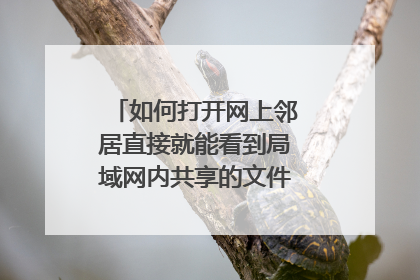 如何打开网上邻居直接就能看到局域网内共享的文件而不是计算机名