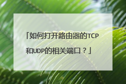 如何打开路由器的TCP和UDP的相关端口?