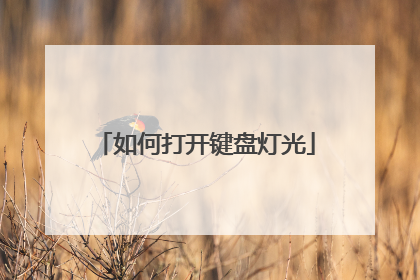 如何打开键盘灯光