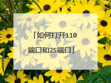 如何打开110端口和25端口