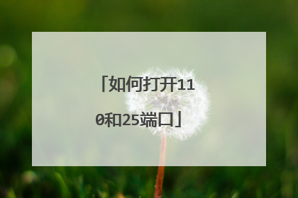 如何打开110和25端口