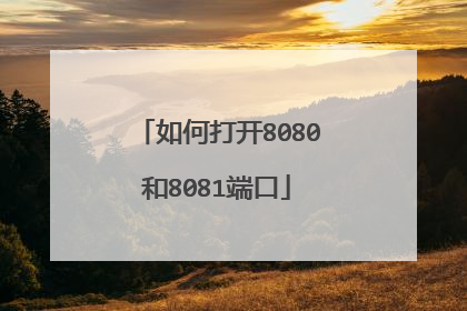 如何打开8080和8081端口