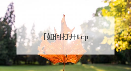 如何打开tcp,udp端口