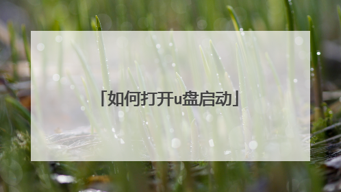 如何打开u盘启动
