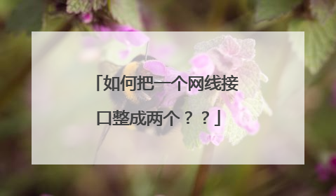 如何把一个网线接口整成两个??