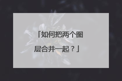 如何把两个图层合并一起？