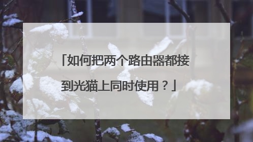 如何把两个路由器都接到光猫上同时使用?