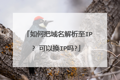 如何把域名解析至IP? 可以换IP吗?