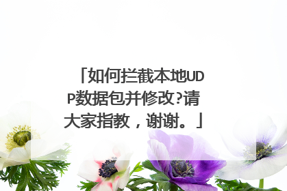 如何拦截本地UDP数据包并修改?请大家指教，谢谢。