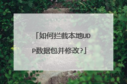 如何拦截本地UDP数据包并修改?