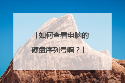 如何查看电脑的硬盘序列号啊?