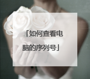如何查看电脑的序列号