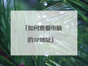 如何查看电脑的IP地址