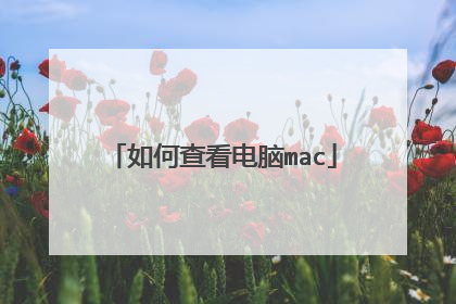如何查看电脑mac