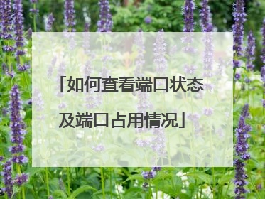 如何查看端口状态及端口占用情况
