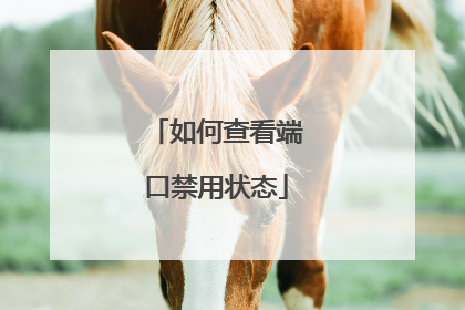 如何查看端口禁用状态