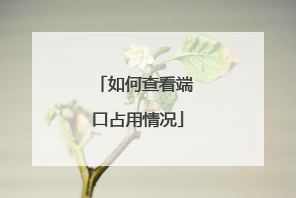 如何查看端口占用情况