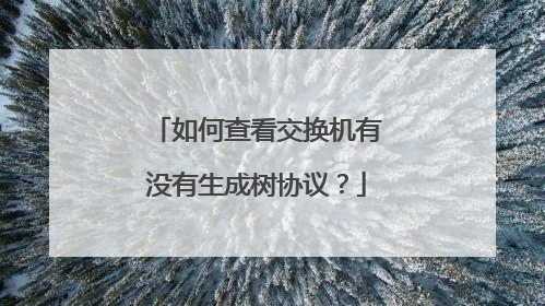 如何查看交换机有没有生成树协议?